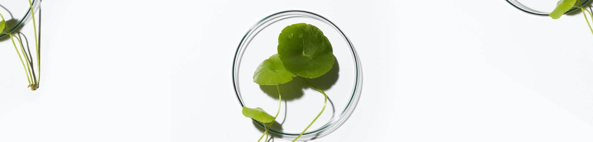我們致力調配對環境更負責任的配方
